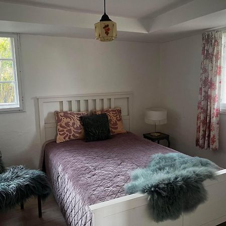 Rosenlund Gods - Kaelder B&B Sakskøbing エクステリア 写真