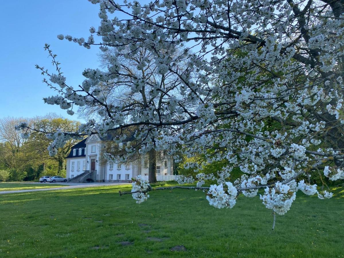Rosenlund Gods - Kaelder B&B Sakskøbing エクステリア 写真